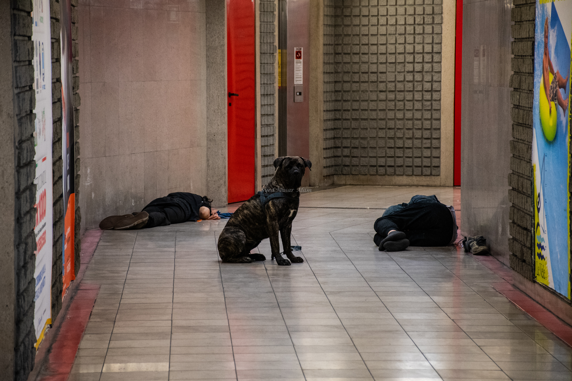 Dog Protects Homeless People